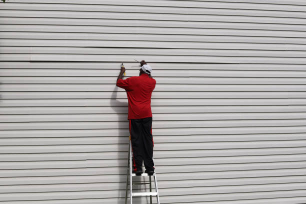 Affordable Siding Repair and Maintenance Services in Potomac Park, CA